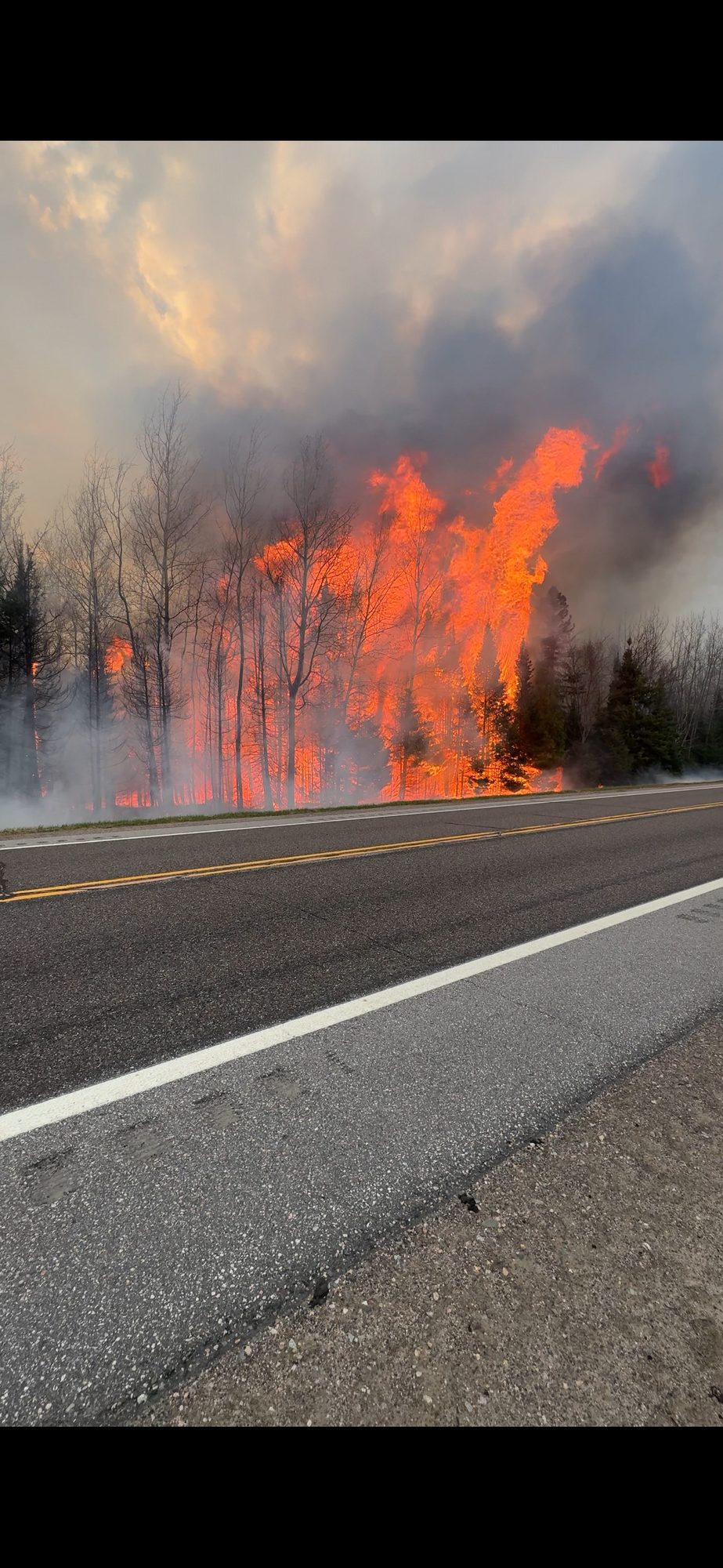 A wall of orange flames burns through roadside trees under a smoke-filled sky, seen from across a highway.