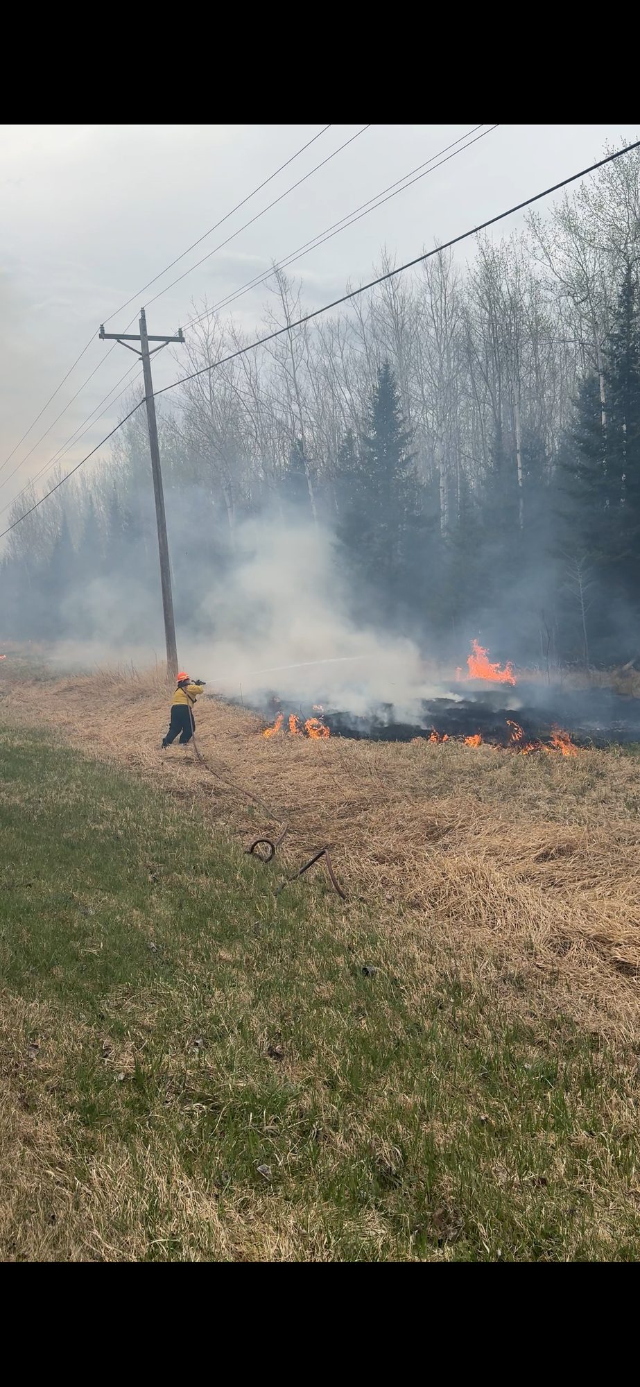 A firefighter in yellow gear sprays water on a low grass fire beside a utility pole and power lines.